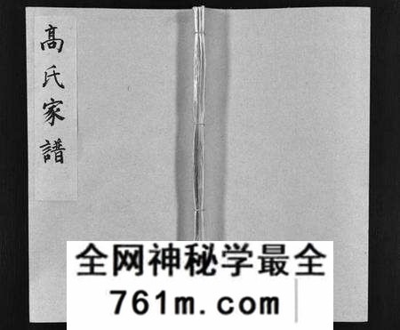湖北高氏族谱-高氏家谱 [32卷](别名：高氏宗谱、Gao Shi Jia Pu).pdf电子版