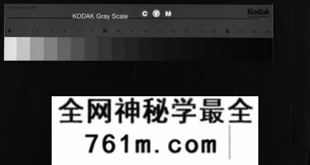 湖南朱氏族谱-朱氏四修族谱 [总卷数不详].pdf电子版