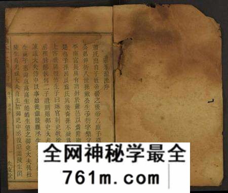 湖南萧氏族谱-萧氏十二修族谱 [残卷].pdf电子版