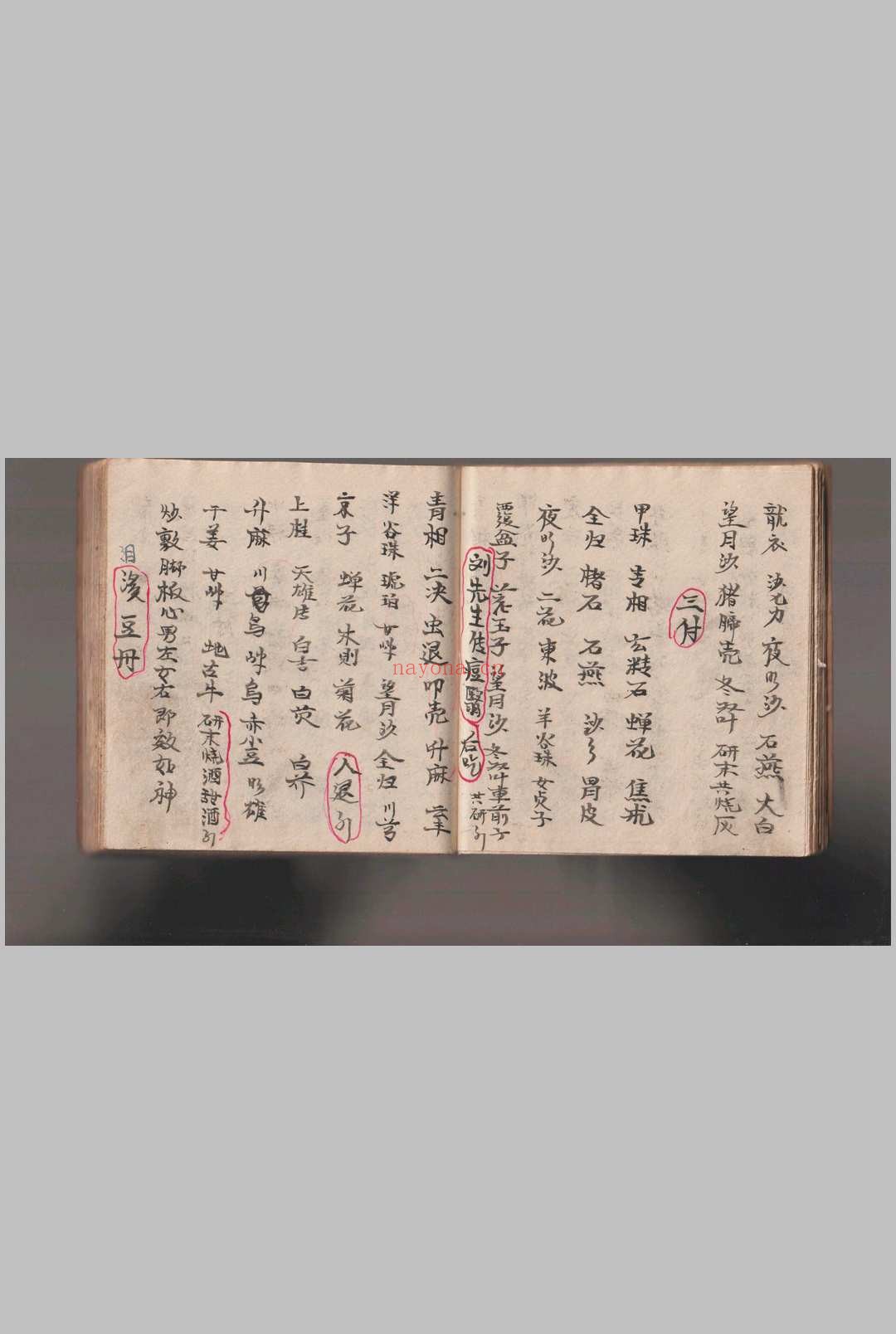 《灵仙神》水师自记