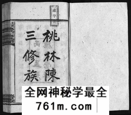 湖南陈氏族谱-湘乡桃林陈氏三修族谱 [16卷,首4卷,末1卷].pdf电子版