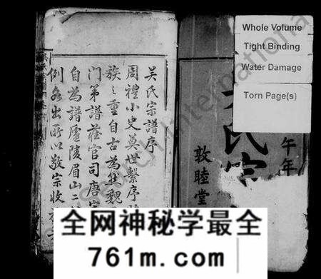 湖北吴氏族谱-吴氏宗谱 [10卷](别名：吴氏重修宗传).pdf电子版