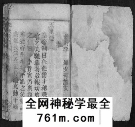湖南李氏族谱-李氏族谱.pdf电子版