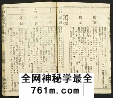 湖北严氏族谱-义水严氏宗谱.pdf电子版