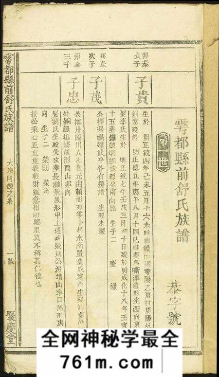 江西舒氏族谱-雩邑前舒氏族谱.pdf电子版