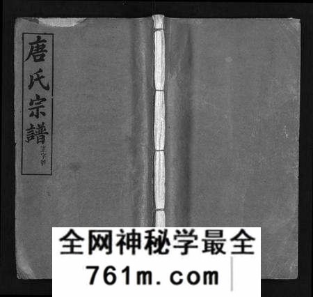 湖北唐氏族谱-唐氏宗谱 [4卷,首3卷](别名：唐氏族谱、Tang Shi Zong Pu).pdf电子版
