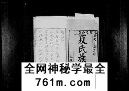 湖北夏氏族谱-夏氏宗谱 [13卷,首1卷](别名：夏氏族谱).pdf电子版