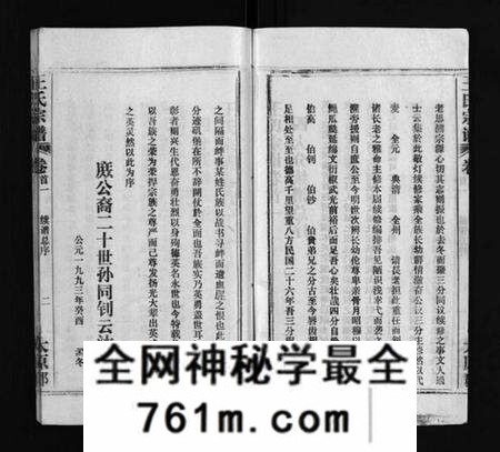 湖北王氏族谱-王氏宗谱 [按支分卷,首4卷](别名：Wang Shi Zong Pu).pdf电子版