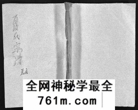 湖北夏氏族谱-夏氏宗谱 [15卷,首2卷](别名：Xia Shi Zong Pu).pdf电子版