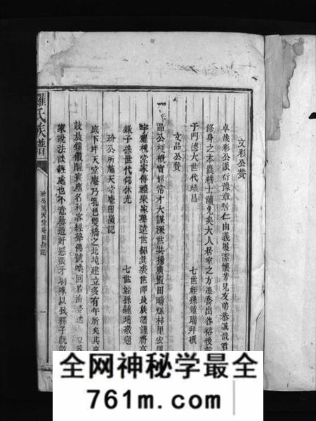 湖南罗氏族谱-罗氏族谱 [8卷,含卷首].pdf电子版