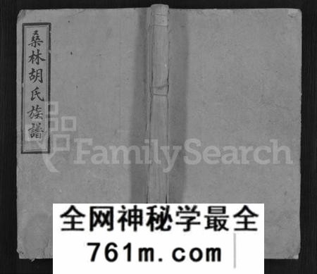 湖南胡氏族谱-桑林胡氏族谱 [16卷,首2卷].pdf电子版