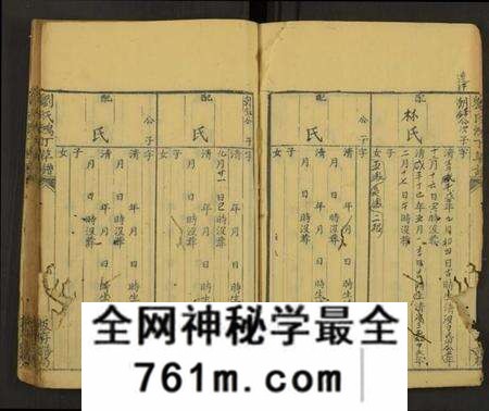 中国刘氏族谱-刘氏鸿丁草谱[总卷数不详](别名：Liu Shi Hong Ding Cao Pu、刘氏鸿丁草谱).pdf电子版