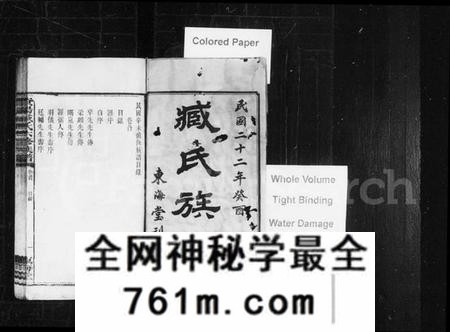 湖南臧氏族谱-臧氏族谱 [29卷,首1卷].pdf电子版