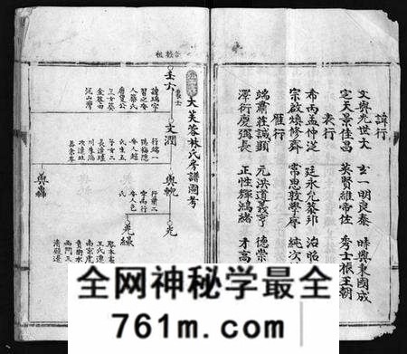 浙江林氏族谱-乐东大芙蓉林氏房谱 [不分卷].pdf电子版