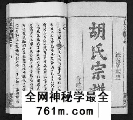 湖北胡氏族谱-胡氏宗谱[21卷首2卷].pdf电子版