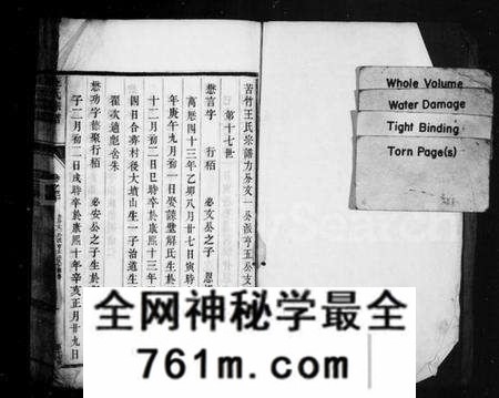 江苏王氏族谱-苦竹王氏宗谱 [残卷](王氏宗谱).pdf电子版