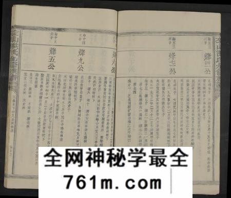 江西洪氏族谱-左山洪氏九修族谱[不分卷].pdf电子版