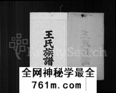 湖南王氏族谱-中湘留田王氏族谱 [34卷].pdf电子版