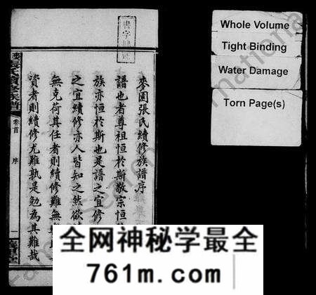湖南张氏族谱-麦园张氏续修族谱 [11卷,首3卷].pdf电子版