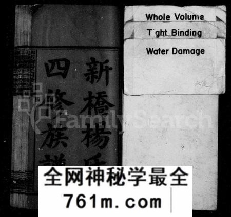 湖南杨氏族谱-新桥杨氏四修族谱 [62卷,首末各1卷,艺文3卷].pdf电子版