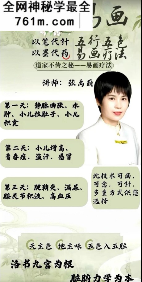 张禹萌易画疗法不扎针.不吃药.不按摩.以笔代针.以墨代药视频课程6集