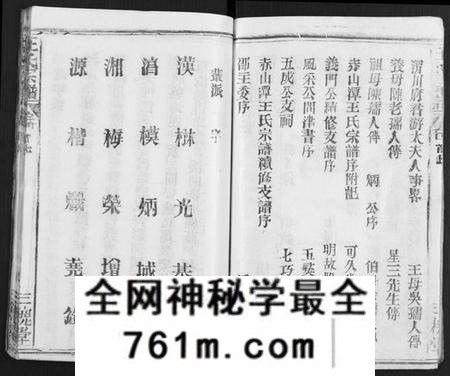 湖北王氏族谱-王氏宗谱 [31卷及卷首2卷, 卷表7卷].pdf电子版