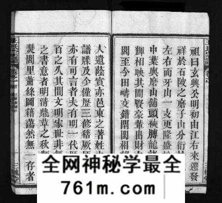 湖北王氏族谱-王氏宗谱 [10卷,首2卷](别名：Wang Shi Zong Pu、王氏宗谱).pdf电子版