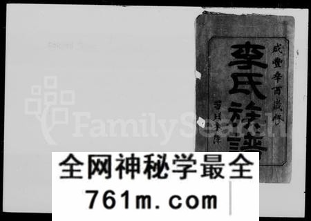 湖南李氏族谱-李氏族谱 [44卷,首1卷].pdf电子版