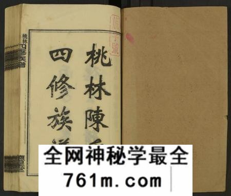 湖南陈氏族谱-桃林陈氏四修族谱 [残卷].pdf电子版