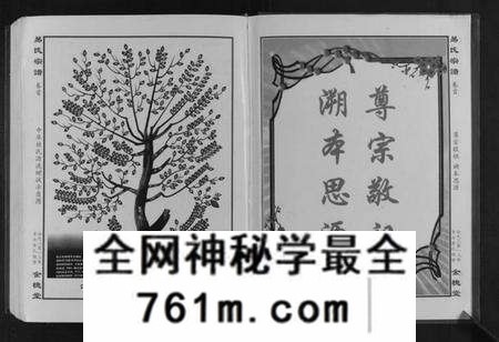 湖北易氏族谱-易氏宗谱[8部].pdf电子版