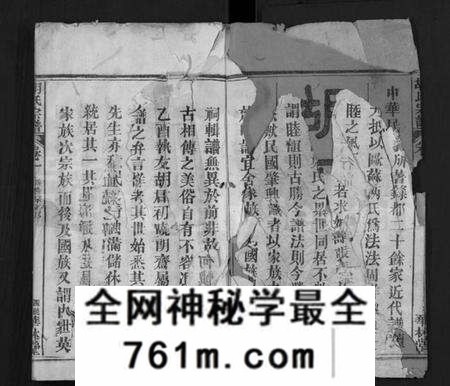 湖北胡氏族谱-胡氏宗谱 [28卷](别名：Hu Shi Zong Pu).pdf电子版