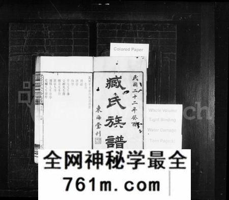 湖南臧氏族谱-臧氏族谱 [29卷,首1卷].pdf电子版