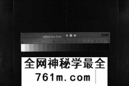 湖北严氏族谱-严氏宗谱 [9卷,首3卷](别名：Yan Shi Zong Pu、严氏宗谱).pdf电子版
