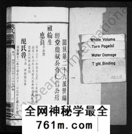 湖南戴氏族谱-戴氏通谱 [39卷].pdf电子版