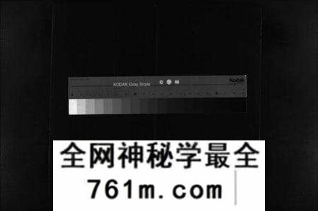 浙江谢氏族谱-谢氏宗谱 [不分卷].pdf电子版