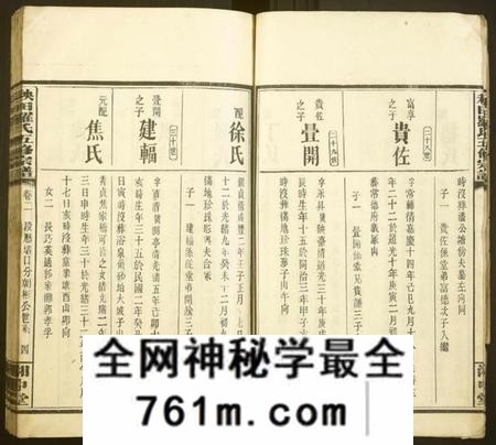 湖南罗氏族谱-秧田罗氏五修宗谱[27卷].pdf电子版