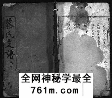 湖北蔡氏族谱-蔡氏支谱 [11卷,首3卷](别名：Cai Shi Zhi Pu、蔡氏支谱).pdf电子版