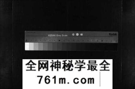 湖北向氏族谱-向氏三修宗谱 [10卷,首8卷](别名：Xiang Shi San Xiu Zong Pu).pdf电子版