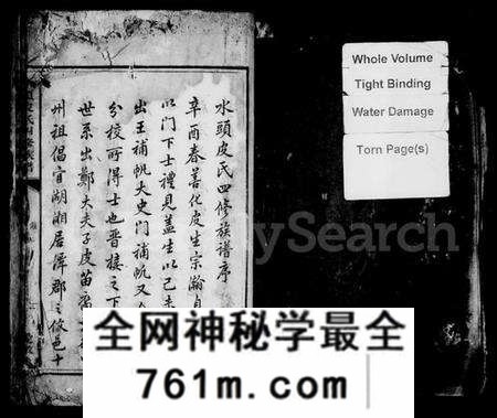 湖南皮氏族谱-水头皮氏四修族谱.pdf电子版