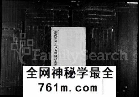 湖南王氏族谱-湘潭泉冲王氏五修族谱本原志.pdf电子版