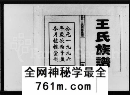 湖南王氏族谱-四甲王氏四修族谱 [15卷,首尾各1卷].pdf电子版