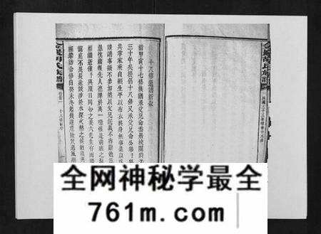 湖南胡氏族谱-金严胡氏族谱.pdf电子版