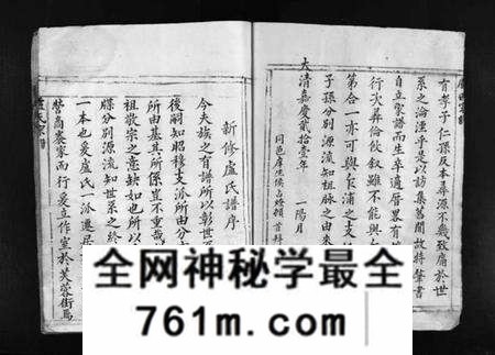 浙江卢氏族谱-卢氏宗谱 [不分卷].pdf电子版