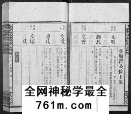 湖南王氏族谱-王氏廷五公四修支谱.pdf电子版