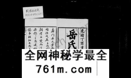 江苏岳氏族谱-唐门岳氏宗谱 [24卷,首1卷](别名：岳氏宗谱).pdf电子版