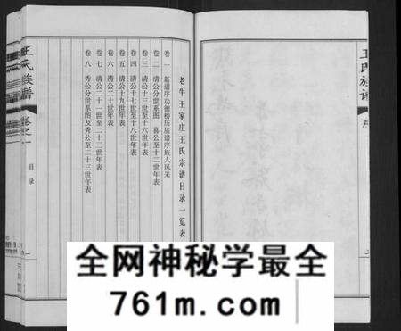 江苏王氏族谱-王氏族谱[8卷](别名：Wang Shi Zu Pu).pdf电子版