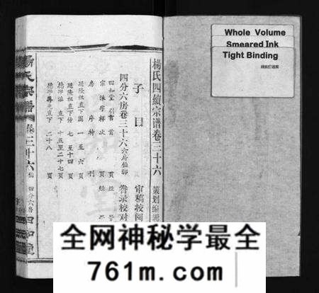 湖北杨氏族谱-杨氏宗谱[52卷,首6卷](别名：Yang Shi Zong Pu、杨氏宗谱).pdf电子版