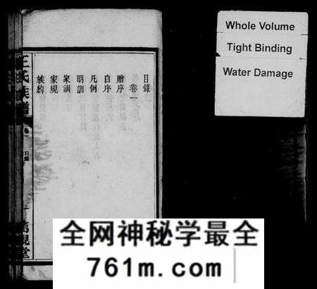 湖南王氏族谱-王氏族谱 [17卷].pdf电子版