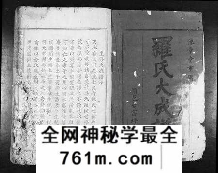 江西罗氏族谱-豫章罗氏大成谱[24卷].pdf电子版