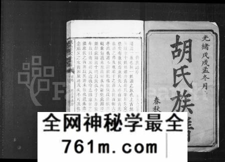 湖南胡氏族谱-胡氏族谱 _ [卷数杂异].pdf电子版
